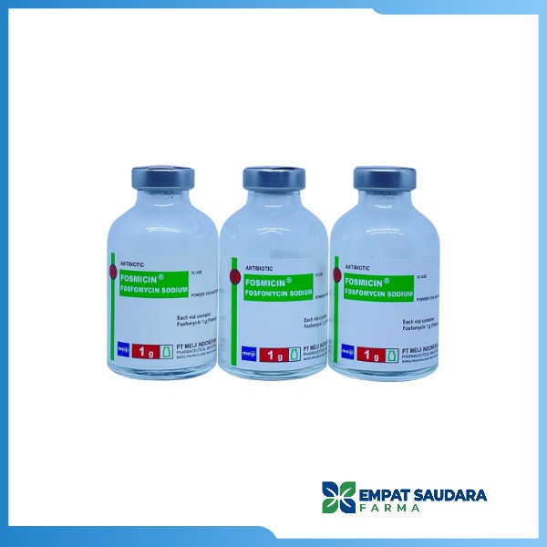 Fosmicin 1 Gram (Per Vial)